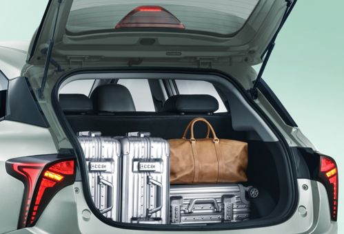 新势力不止“蔚小理”，纯电代步小车市场还有这些实力选择