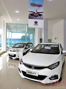 新奔奔 年轻人的乐趣精品小车——探访内江万友汽车销售服务